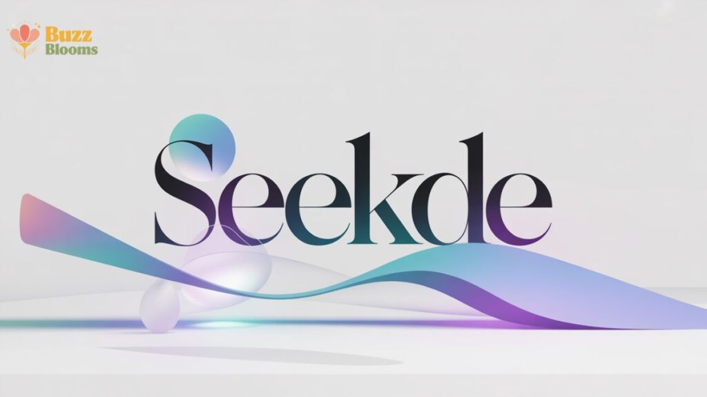 Conceptual representation of the digital term Seekde.